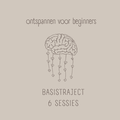 Basistraject – 6 sessies 