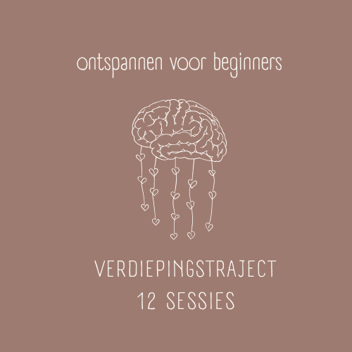 Verdiepingstraject – 12 sessies