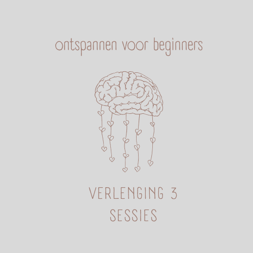 Verlenging 3 sessies 